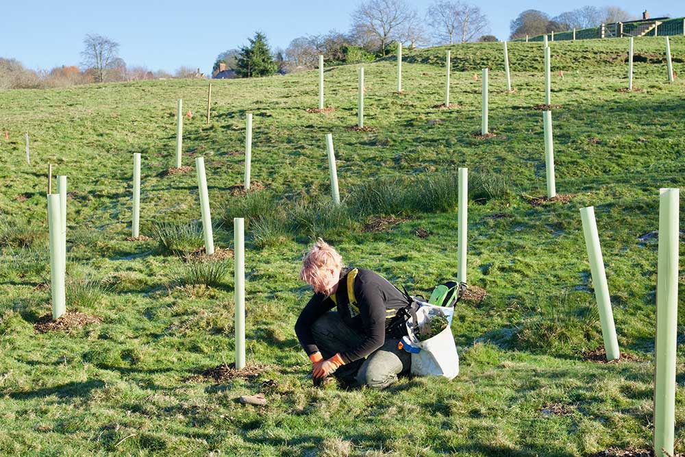 AEC Solar has Partnered with Treeapp | Decarbonisation York